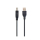 Kabel GEMBIRD Kabel USB 2.0 AM-BM 1m/czarny CCP-USB2-AMBM-1M